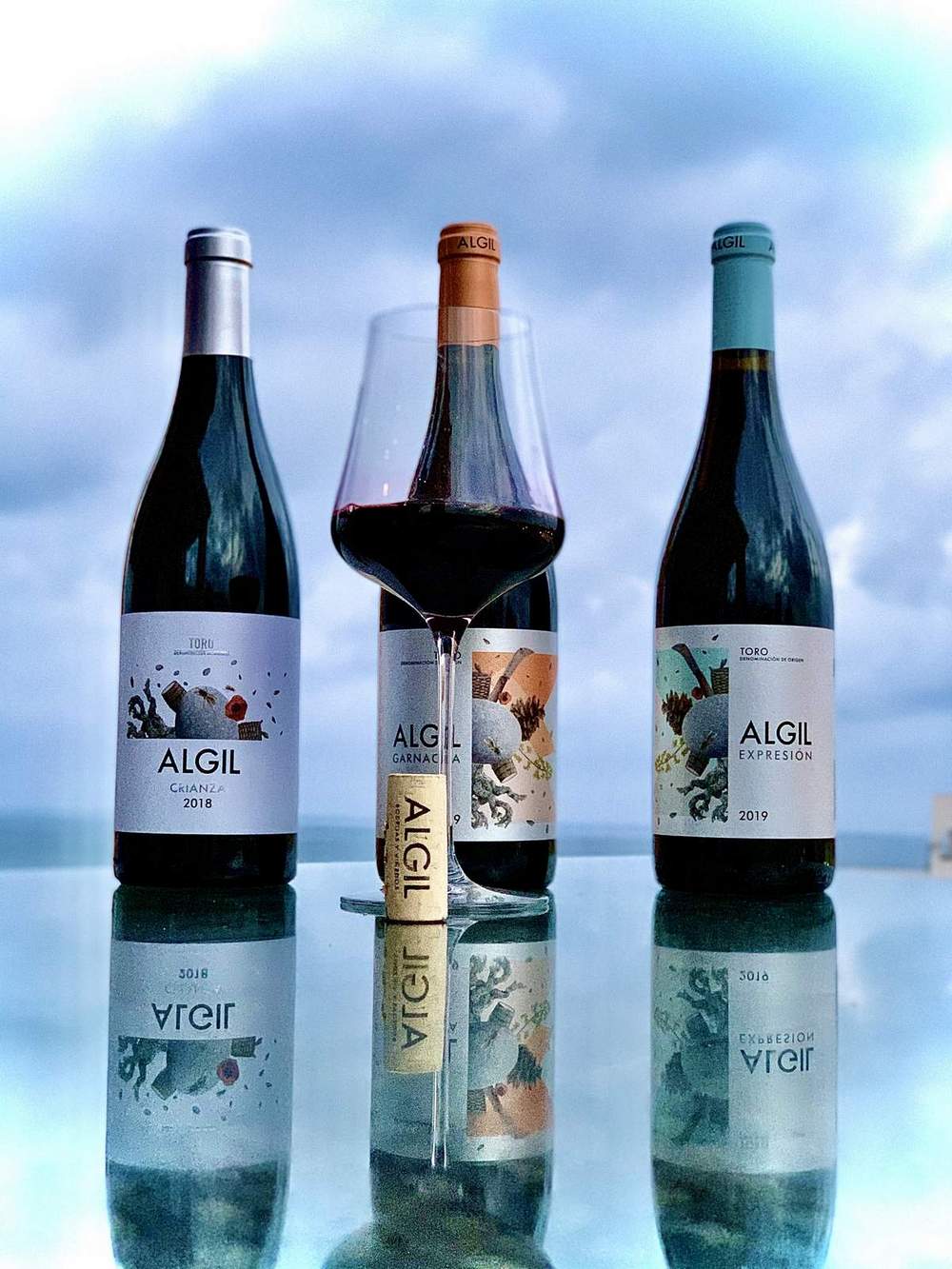 Algil Bodegas y Viñedos Bodega Fuera de Serie