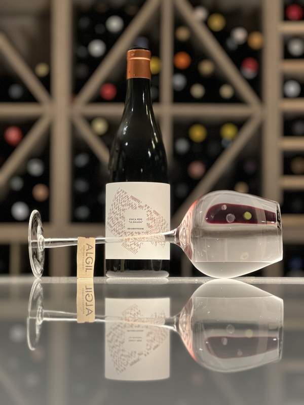 Algil Finca Pepe La Majada