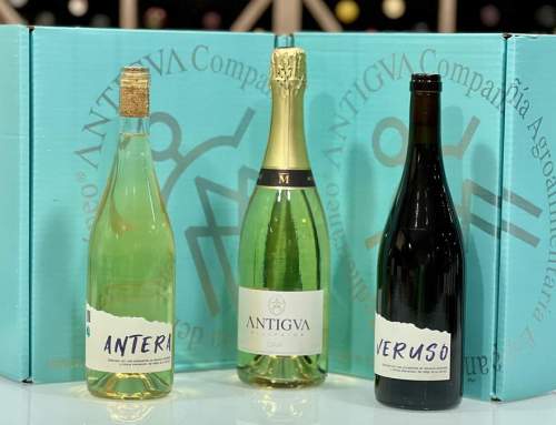 Bodega Revelación: Antigva Cía | Premios AkataVino