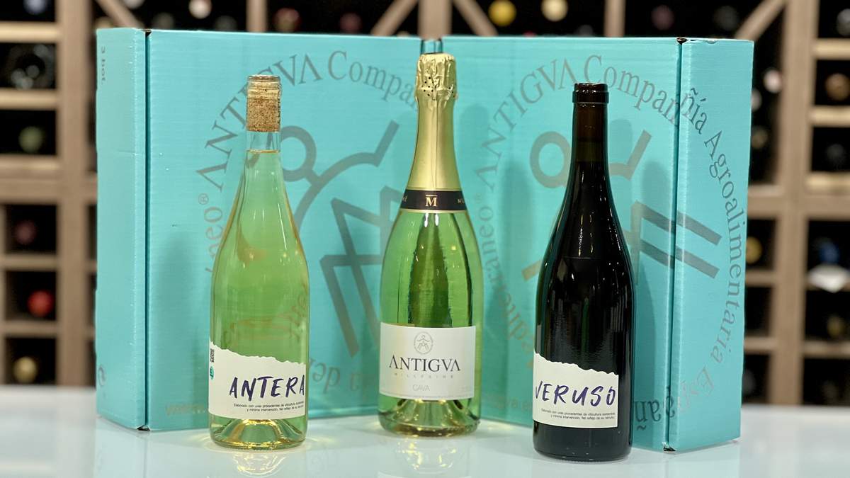 Bodega Antigva Revelacion by AkataVino
