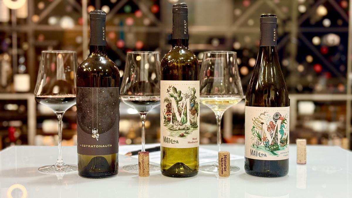 Bodega Punku Vinos