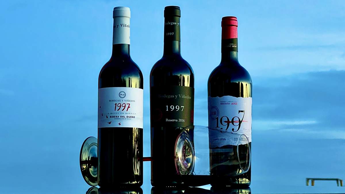 Bodegas Monte Aixa Ribera del Duero
