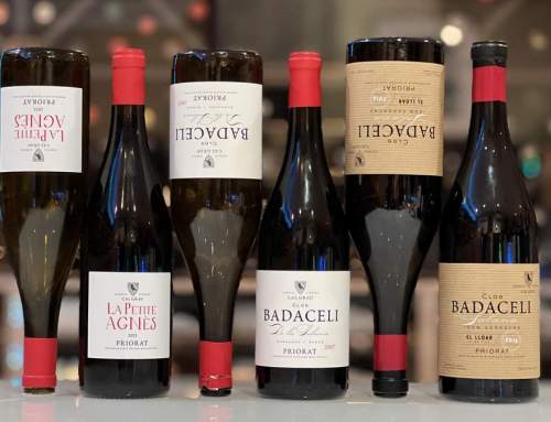Bodega FUERA de SERIE: Bodegas y Viñedos de Cal Grau | Priorato