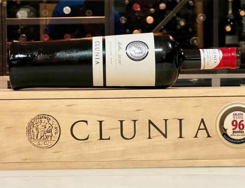 Clunia Malbec 2020. Viñedo Extremo cultivado a 1000 M.S.N.M | 96 Pts. AkataVino
