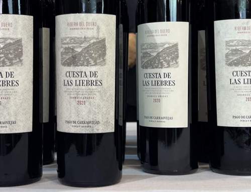 Cuesta de las Liebres 2020: La expresión de una viña precisa y pura | 99 Pts. Akatavino