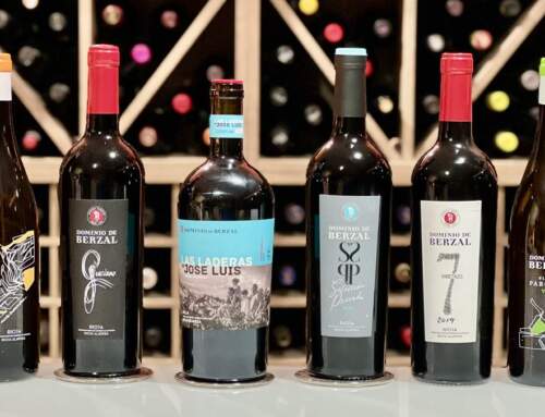Bodega Fuera de Serie: Dominio de Berzal Rioja | AkataVino