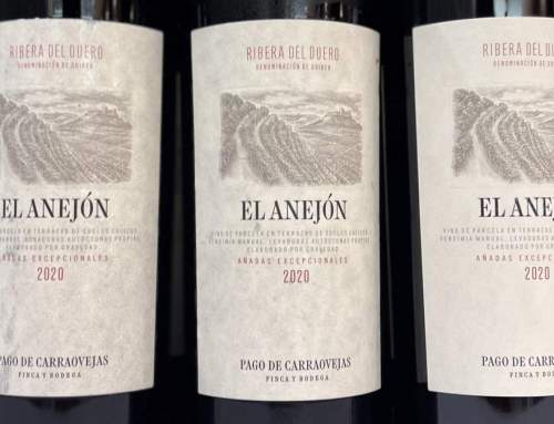 El Anejón 2020: La singularidad de los extraordinarios bancales donde nace | 97 Pts. AkataVino