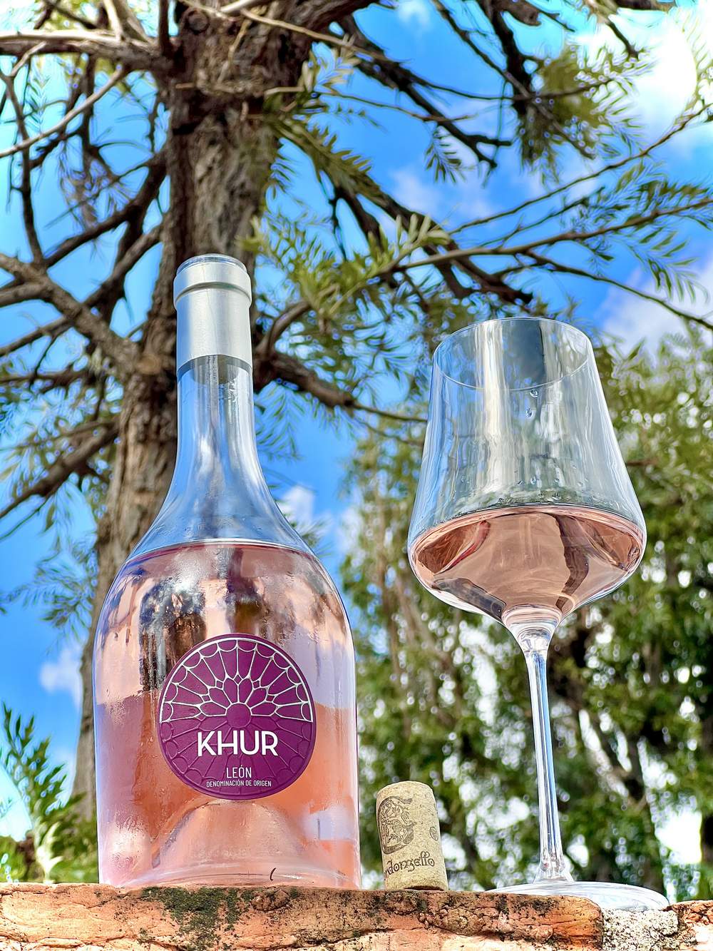 Khur Rosé 2023 de Gordonzerllo 95 Pts. AkataVino