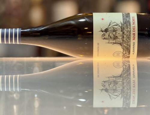 Mar del Norte 2023. Vinos para vivir Galicia | 93 Pts. AkataVino