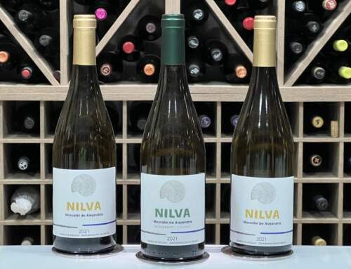 Nilva Enoturismo: Bodega Revelación | Sierras de Málaga
