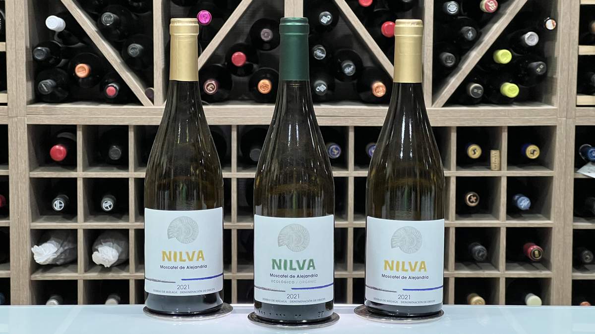Nilva Enoturismo