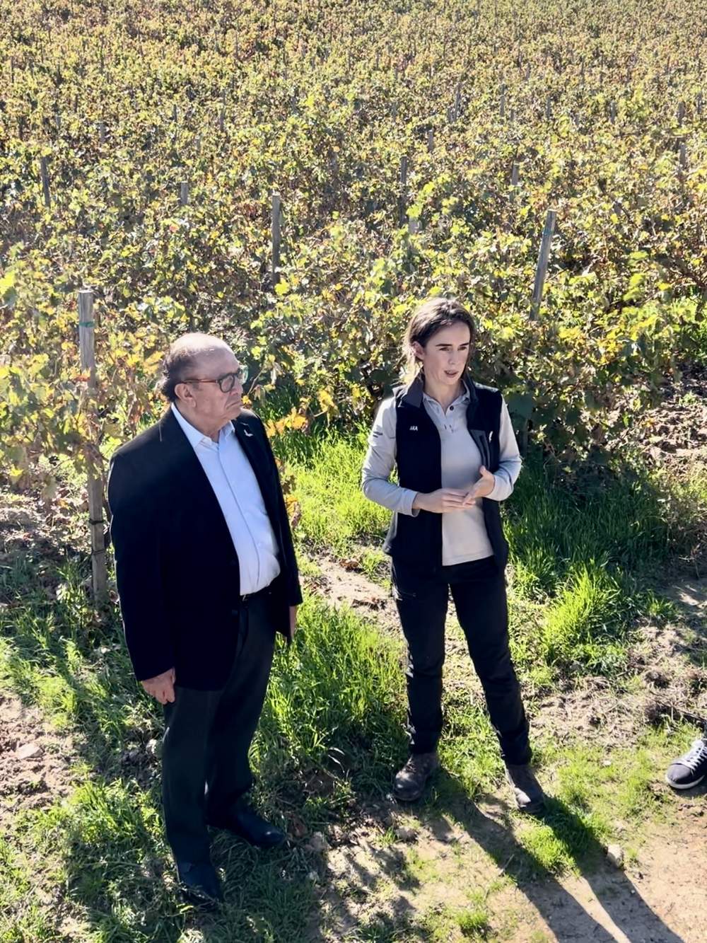 El Anejón 2020 Pago de Carraovejas