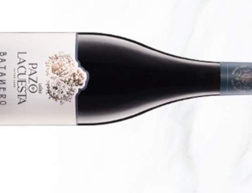 Pazo de La Cuesta Batanero 2022. Una joya escondida de la heroica Ribeira Sacra | 97 Pts. AkataVino