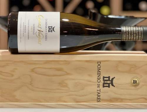 Dominio de Tares Cepas Viejas Godello 2023: La Elegancia del Bierzo en cada copa | 93 Pts. AkataVino