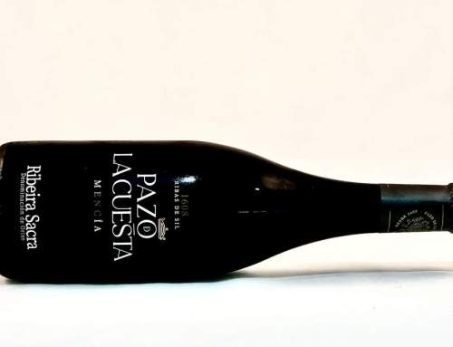 Pazo de la Cuesta Mencía 2022. Un vino que evoca la esencia de su tierra natal | 93 Pts. AkataVino